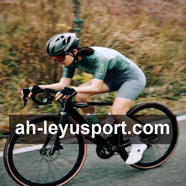 比分赛后说明查询